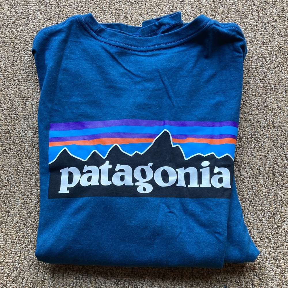 Patagonia Responsibili-tee
